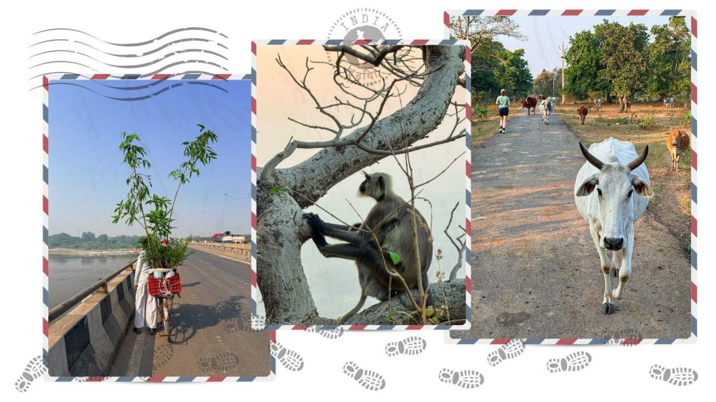 265578d0-3fcc-11f1-b55d-0f258dce1735