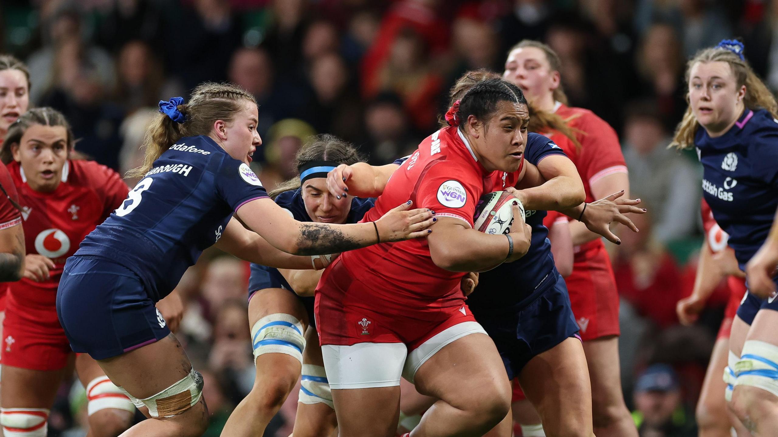 Scotland celebrate hard-fought victory over Wales