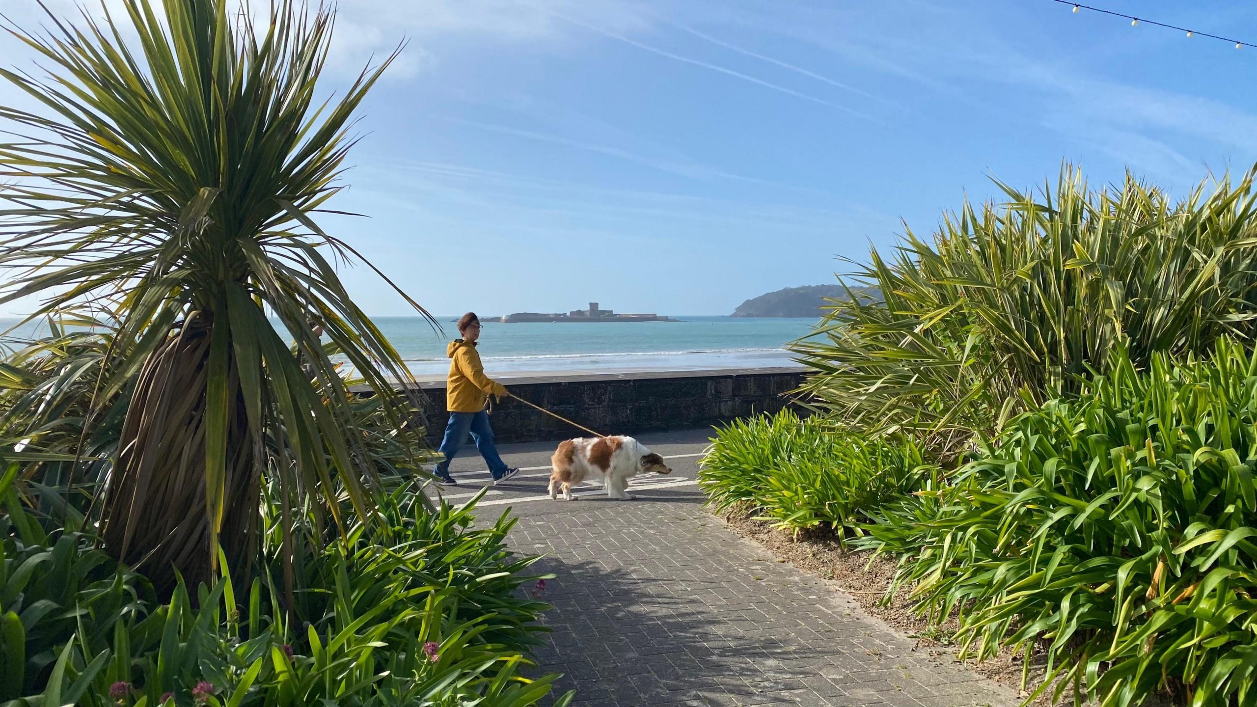Rain set to ease for the weekend as sunshine returns